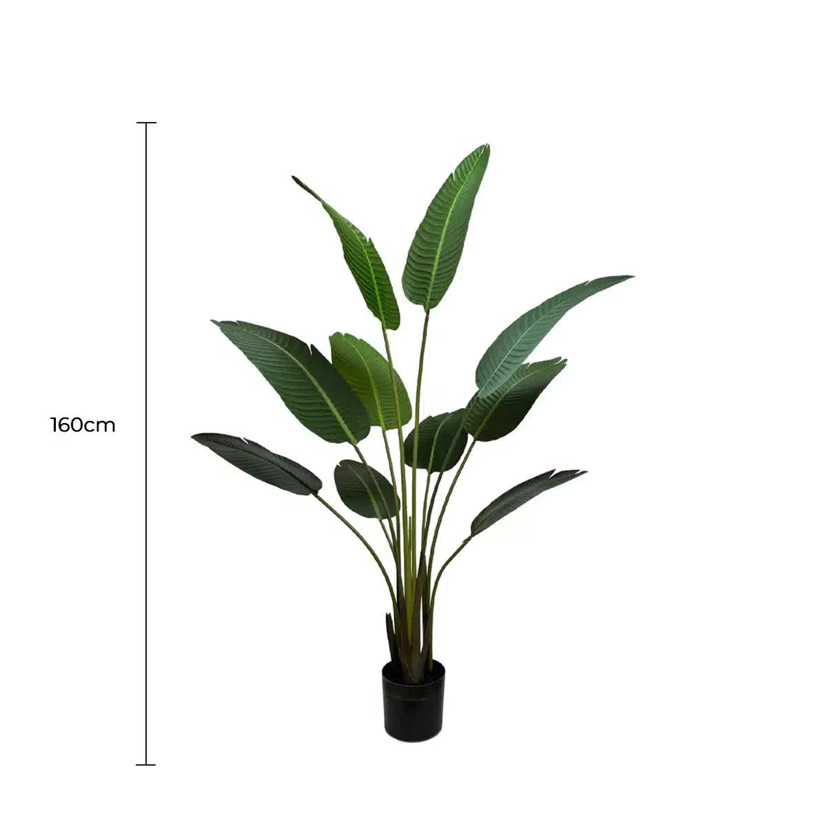 Grand Artificial Potted Travelers Palm (Banana Palm Tree) 160cm